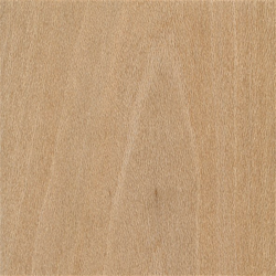 2-1/4" Plain Sawn Sycamore Clear Paneling