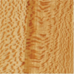 3-1/4" Rustic Quarter Sawn Sycamore Paneling