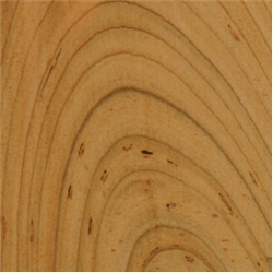 2-1/4" Rustic Cherry Paneling